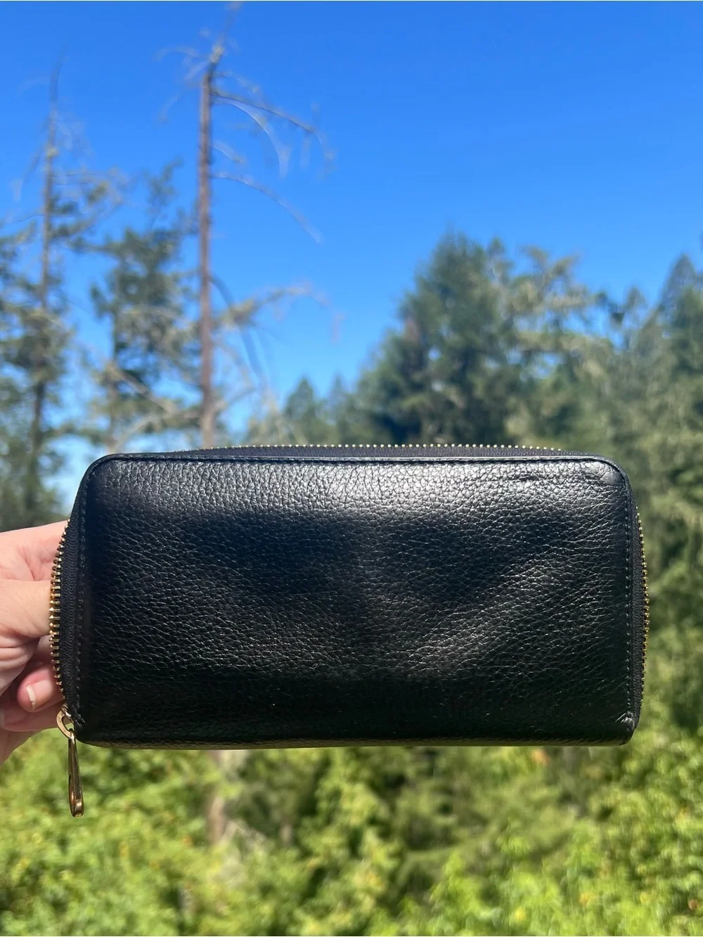 Coach accordion zip